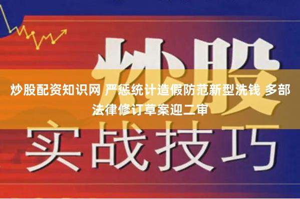 炒股配资知识网 严惩统计造假防范新型洗钱 多部法律修订草案迎二审