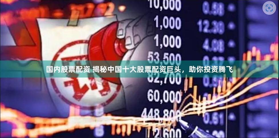 国内股票配资 揭秘中国十大股票配资巨头，助你投资腾飞