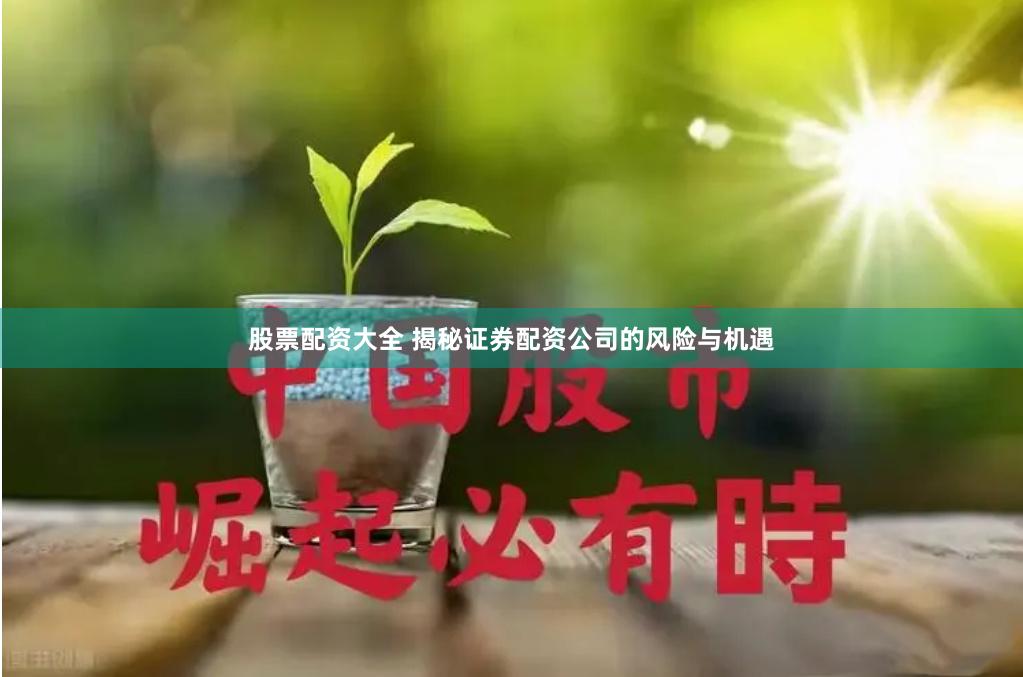 股票配资大全 揭秘证券配资公司的风险与机遇