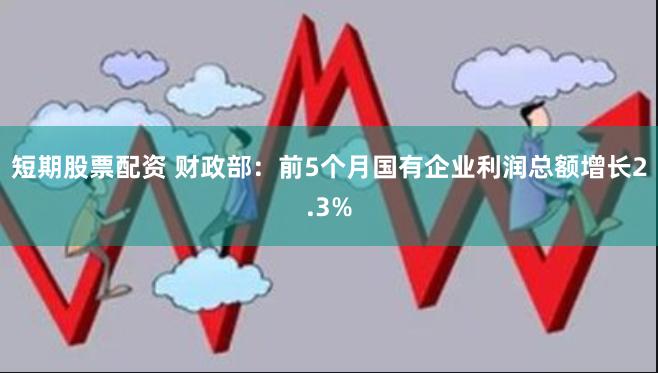 短期股票配资 财政部：前5个月国有企业利润总额增长2.3%